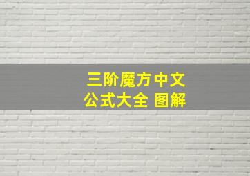 三阶魔方中文公式大全 图解